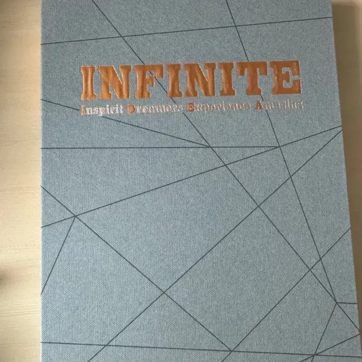 [BUNJANG] 인피니트 IDEA / 인피니트 IDEA