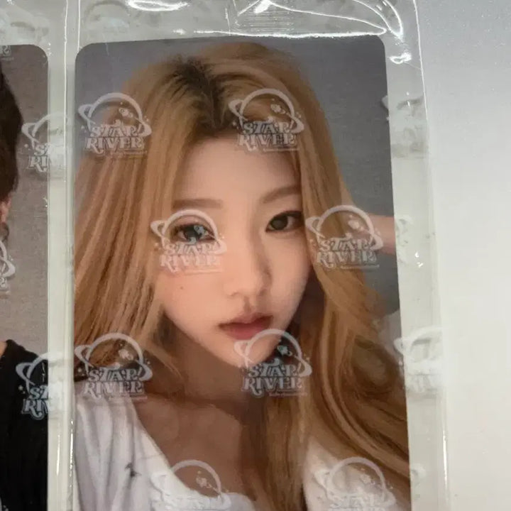 [BUNJANG] 하츠투하츠 스텔라 스타리버 5.0 미공포 현물 포카 포토카드 / 하츠투하츠 스텔라 스타리버 5.0 미공포 현물 포카 포토카드