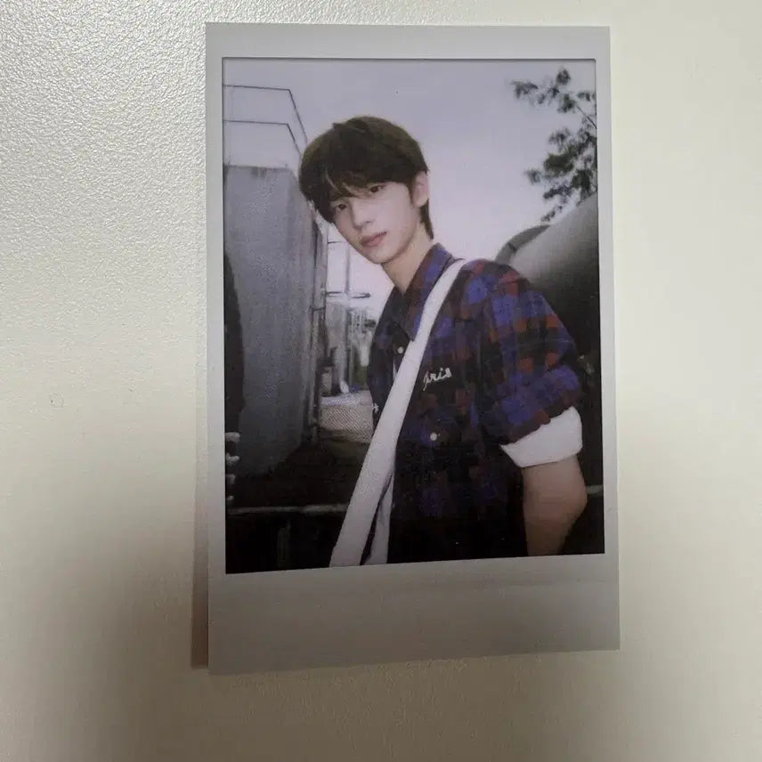 [BUNJANG] TWS Shinyu Photocard Bundle Set / 투어스 신유포카 일괄 신유 하지메마시떼 투어스 셀렉션팩 신유 썸머비트