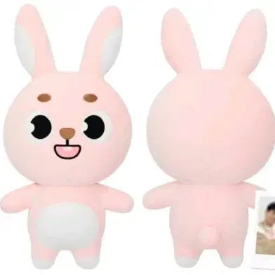 [BUNJANG] Day6 Demil Giant Denimals Doll / [안전결제/미개봉] 데이식스 자이언트 데니멀즈 데멀 자멀 필 인형 양도