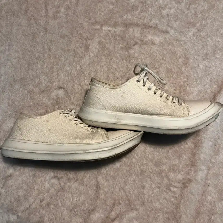 [BUNJANG] Nickerbocker Gothic Arch Sneakers / 니커보커 고딕 아치스니커즈