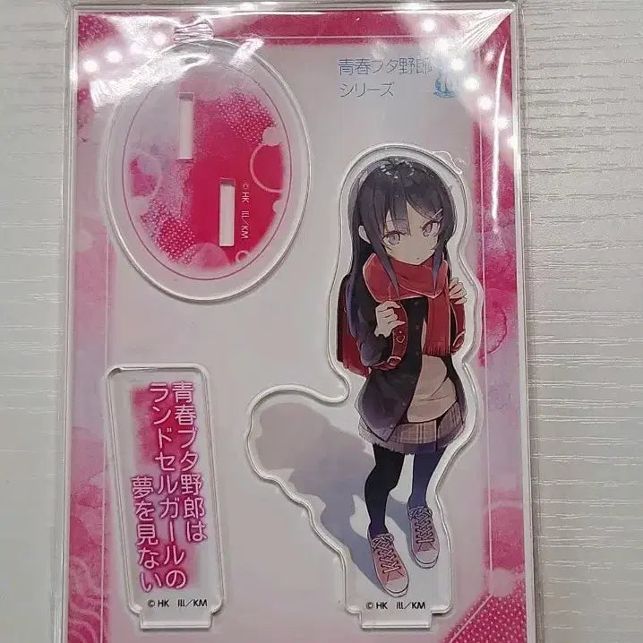 [SOLD OUT] 청춘돼지 10주년 아크릴 스탠드 급처