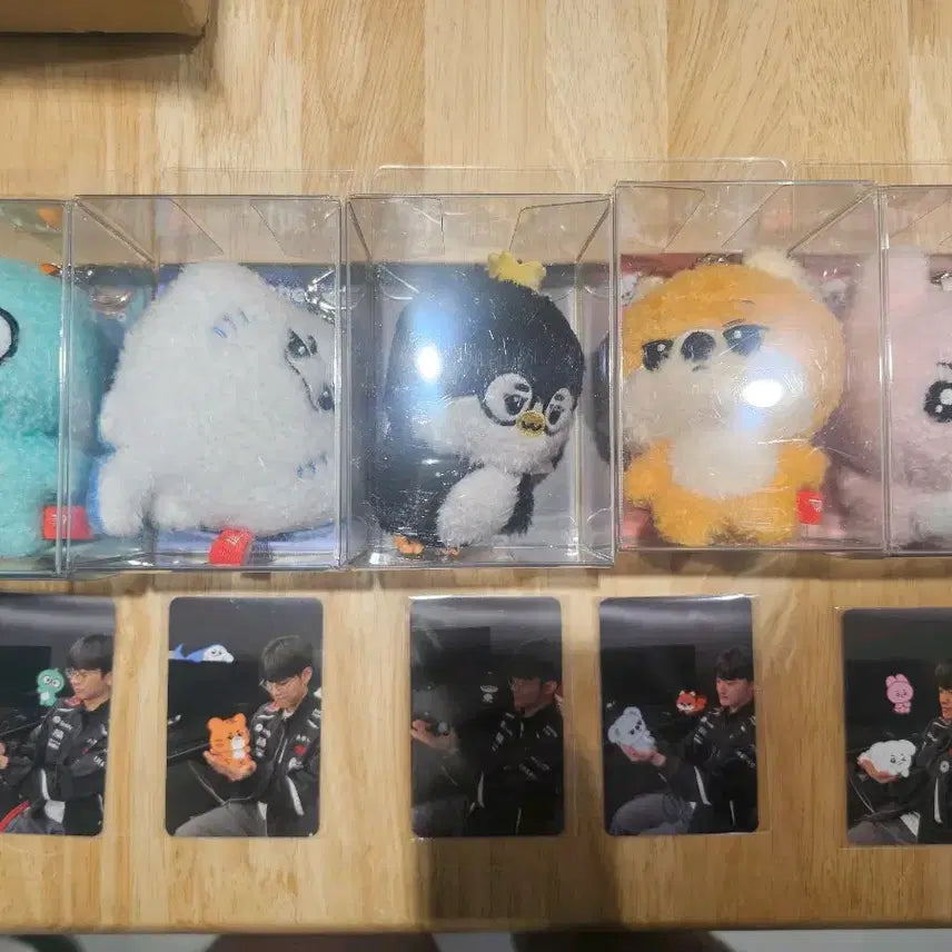 [SOLD OUT] 티원 만우절 Other Friends 인형 도란