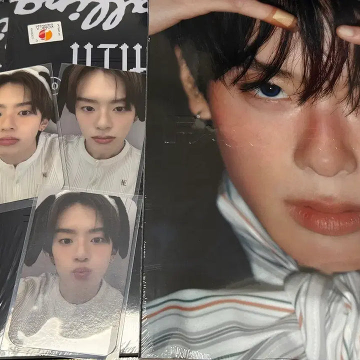 [BUNJANG] VERIVERY Kangmin Rising Star Puppy POB Photocard Bundle Set Sealed Album / 베리베리 강민 유강민 라이징스타 퍼피 미공포 포카 미개봉 앨범
