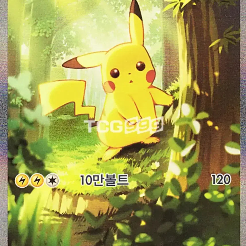 [BUNJANG] Pokemon Card Pikachu SAR (100 Deck) / 포켓몬카드 100덱 피카츄 SAR 구매합니다