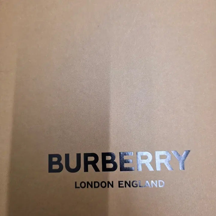 [BUNJANG] Burberry Cashmere Check Scarf / 정품ㅡ버버리 캐시미어 목도리