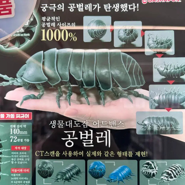 [BUNJANG] 생물대도감 공벌레 어드벤스(블랙) / 생물대도감 공벌레 어드벤스(블랙)