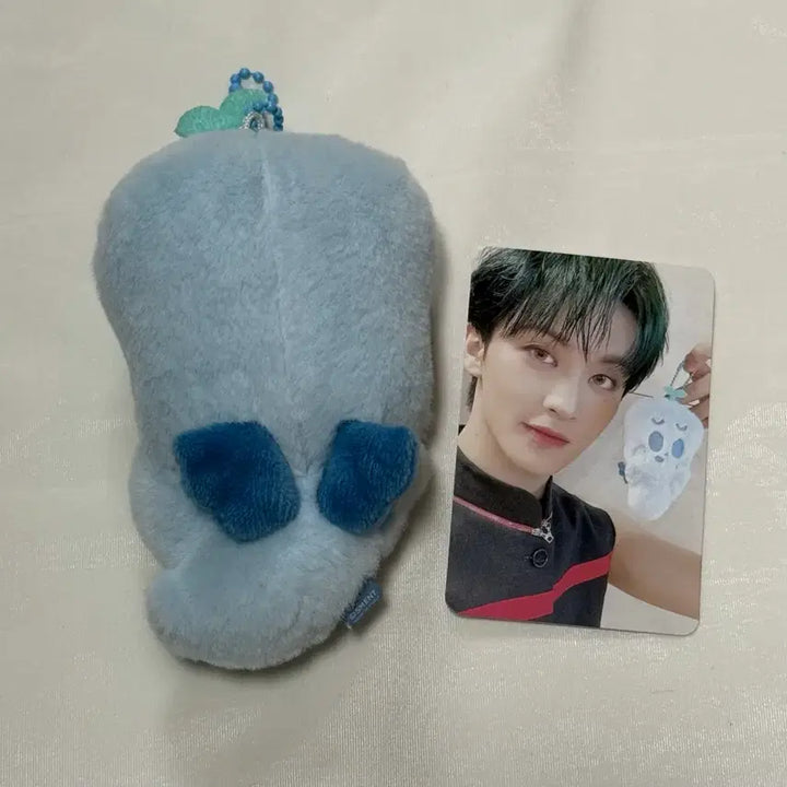 [BUNJANG] NCT Mark Boong-ie Doll / 마크 부훙이 인형