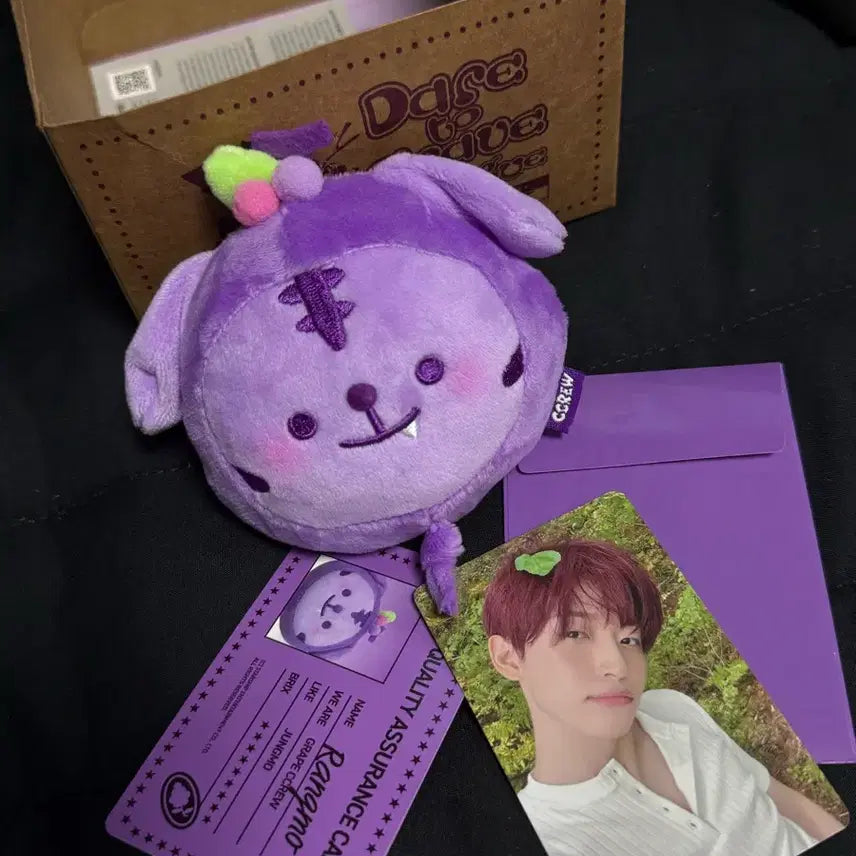 [SOLD OUT] 포도크크루 랑모 크래비티 정모 인형