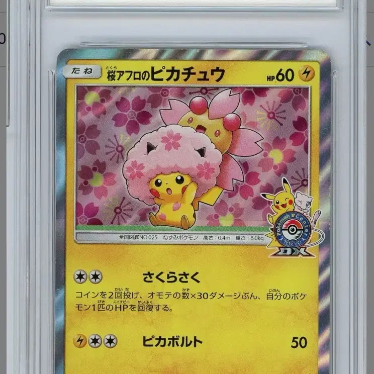 [BUNJANG] Pikachu Promo Card / 피카츄 프로모 카드 팔아요