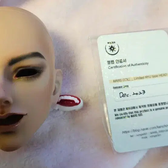 [BUNJANG] MARS Shop RYU B Tanskin Head / MARS 샵 RYU B 탠스킨 헤드