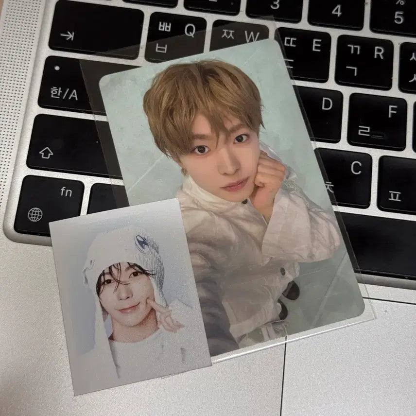 [SOLD OUT] 엔시티위시 팝업 유우시 특전 포카 양도