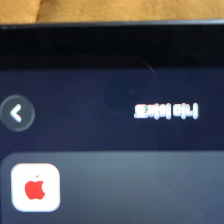 [BUNJANG] Apple iPad mini 7 128GB Wi-Fi Space Gray / 아이패드 미니7 128기가 S급 스페이스 그레이 애케플 귀속