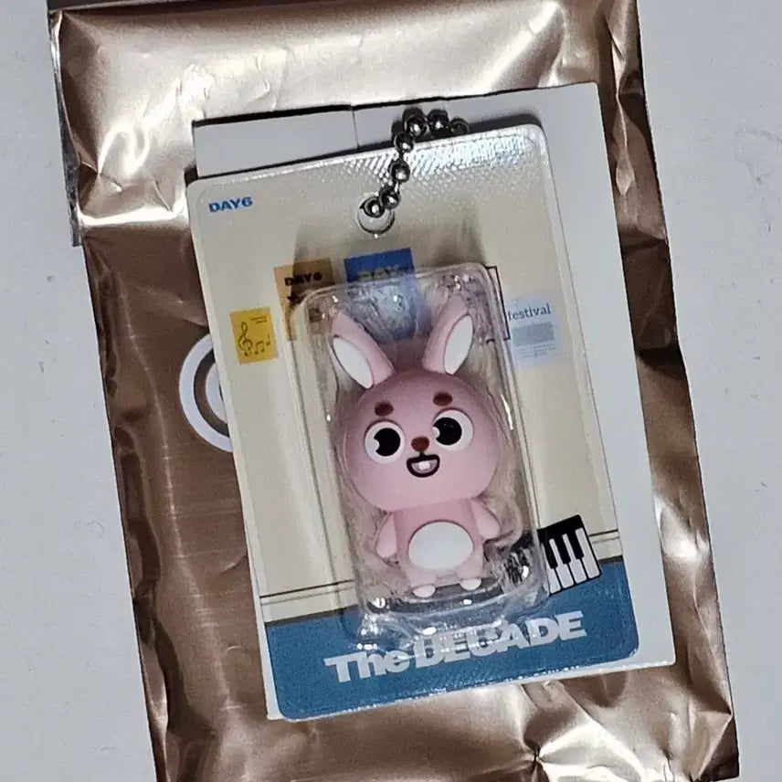 [SOLD OUT] 데이식스 일본MD 랜덤피규어키링 원필