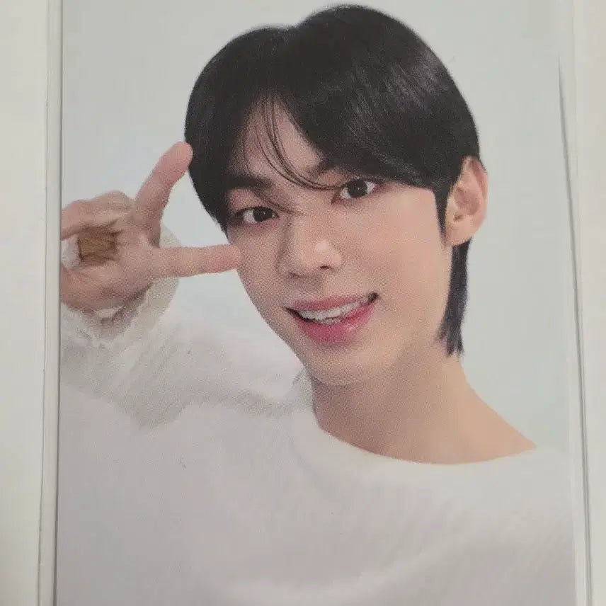 [BUNJANG] TWS Dohoon Photocard / 투어스 정샘물 포카 도훈