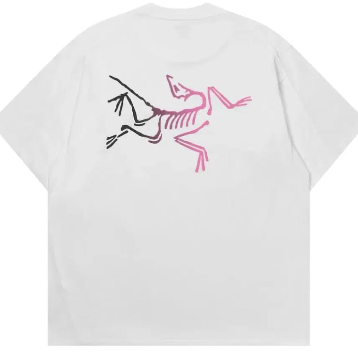 [SOLD OUT] 아크테릭스 크래그 코튼 로고 SS 티셔츠 화이트 라이트 소울 [M]