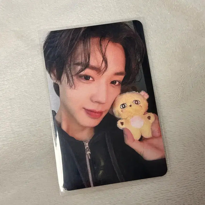 [BUNJANG] Park Jihoon Photocard / 박지훈 소심이 포카