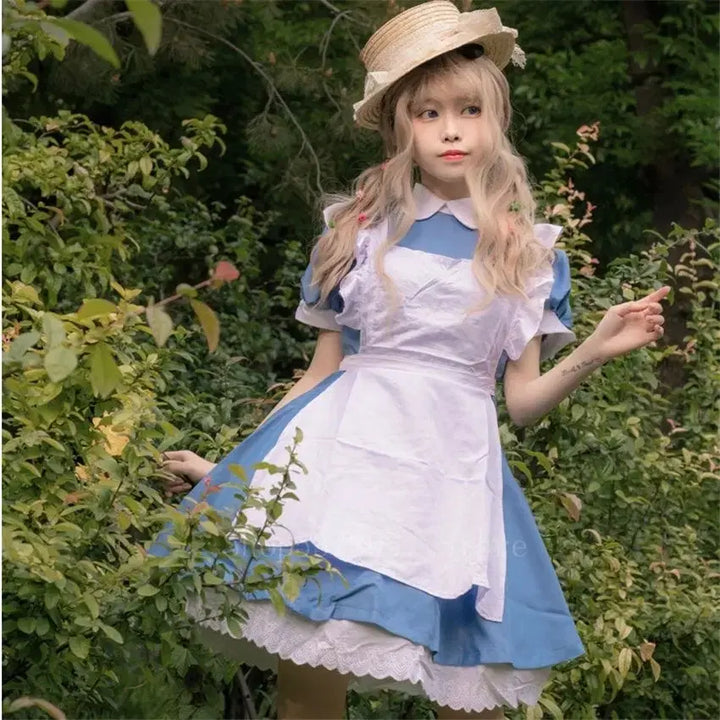 [BUNJANG] Alice Blue Dress Costume / 앨리스 코스프레 의상 블루 드레스 판매