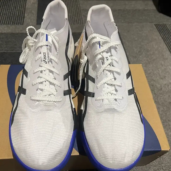 [BUNJANG] Asics Metaspeed Sky 280mm / 아식스 메타스피드 레이 280 /275교환가능 상세글 확인후 문의