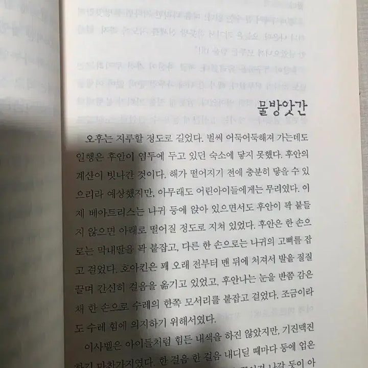[SOLD OUT] 바르톨로메는 개가 아니다 책