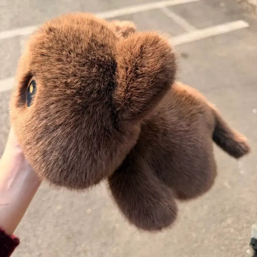 [SOLD OUT] 고양이 인형
