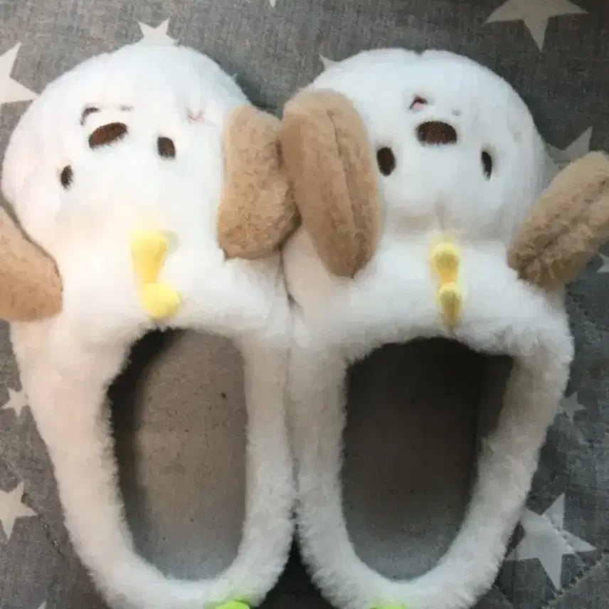 [SOLD OUT] 멍룡이 룸슈즈 라이즈 원빈 성찬 소희 앤톤 쇼타로