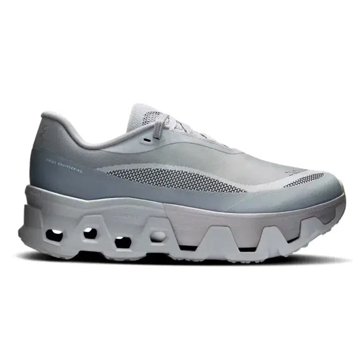 [BUNJANG] PAF X ON Cloudmonster Sneakers / [250-55] paf x on 온러닝 파프 클라우드몬스터