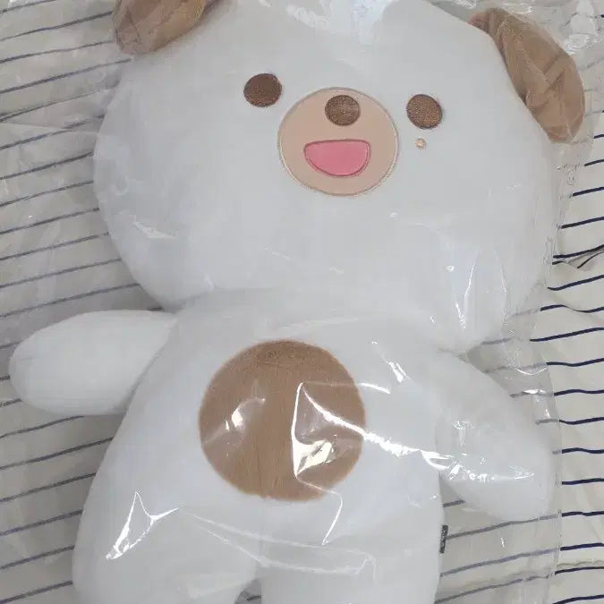 [BUNJANG] Giant Ppomimeol Don Photocard Bundle Set / (미개봉, 돈 포카 2개 포함) 자이언트 쁘띠멀즈 돈