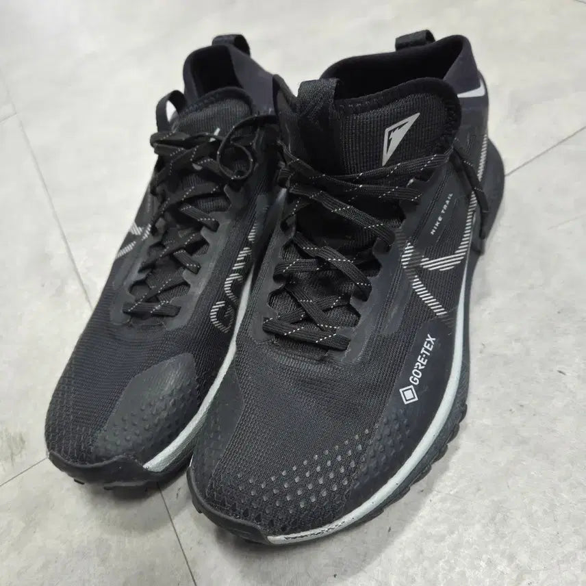 [BUNJANG] Nike React Pegasus Trail 4 Gore-Tex Running Shoes 270 / 나이키 리액트 페가수스 레일4고어텍스러닝화270