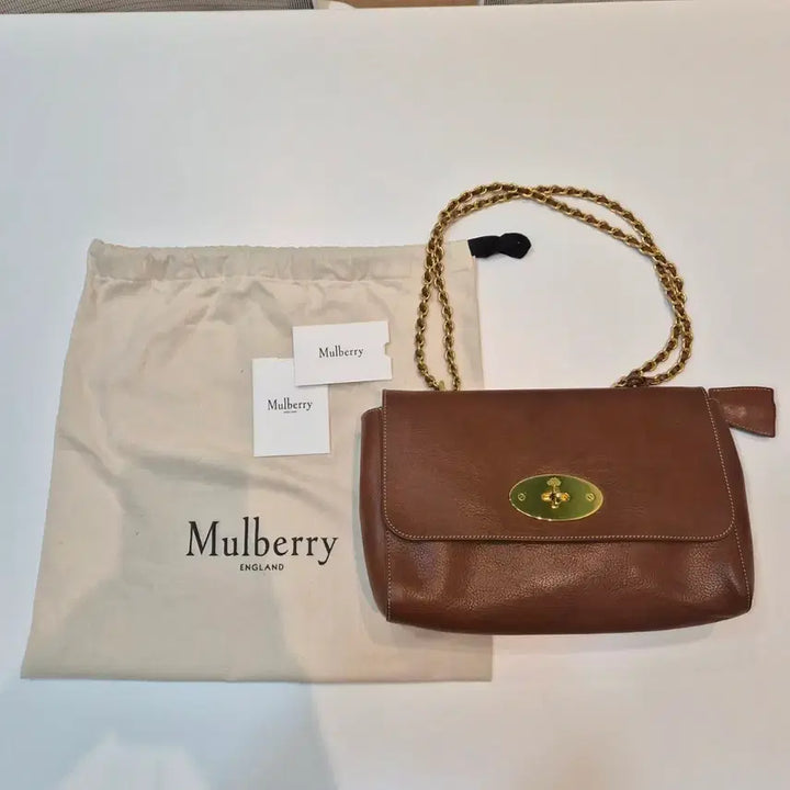 [BUNJANG] Mulberry Lily Bag M (Mint Condition) / 멀버리 클래식 릴리백 M (거의 미사용/풀구성)