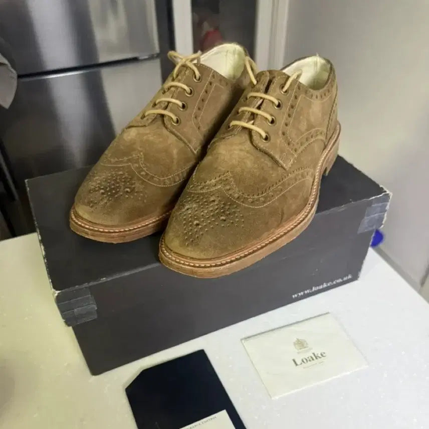 [BUNJANG] Loake 로크 스웨이드 윙팁 더비 / Loake 로크 스웨이드 윙팁 더비