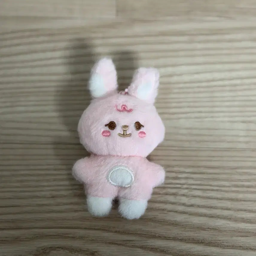 [SOLD OUT] 데이식스 쁘쁘멀 필 원필