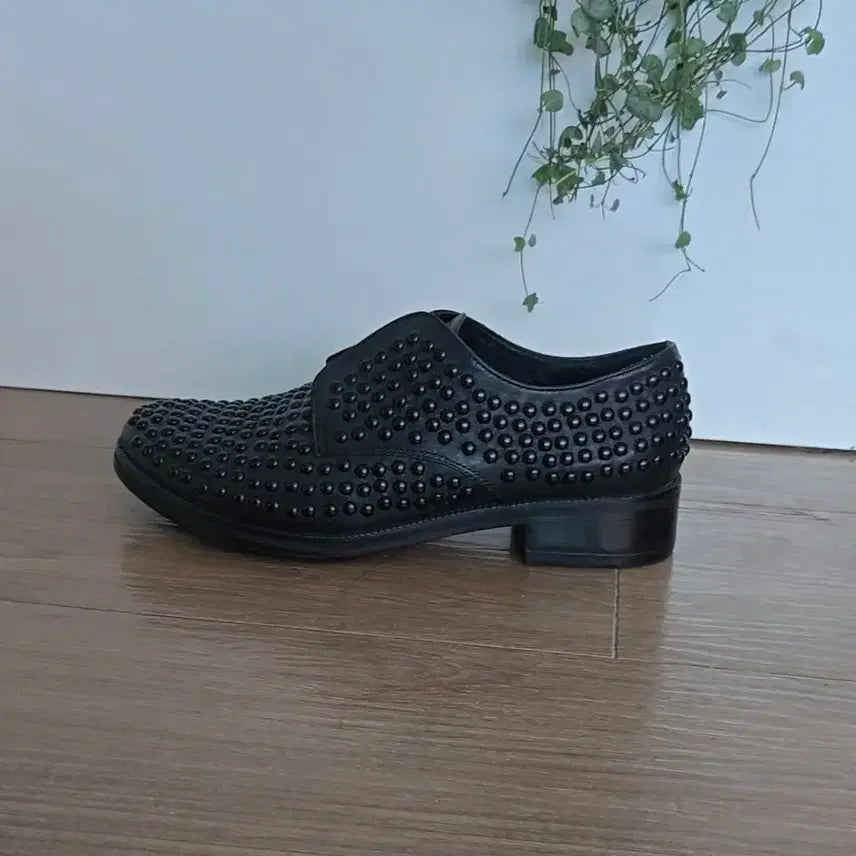 [BUNJANG] ASH Studded Loafers Black 38 / 새상품/아쉬/스터드 로퍼/38