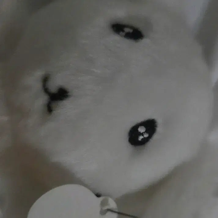 [BUNJANG] Boksil Ganadi Naana Doll Keyring / 복실 가나디 나안아 인형 키링