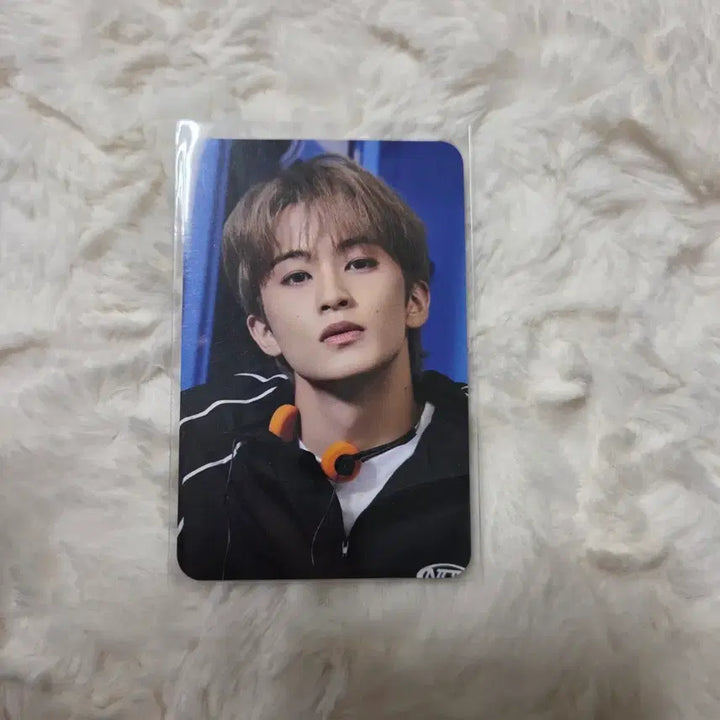 [BUNJANG] NCT 127 Mark POB Photocard / nct 127 마크 포토카드 엔시티 포카 시그 시즌그리팅 특전