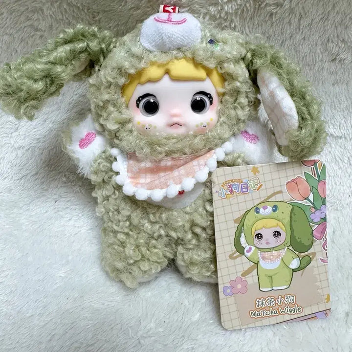 [SOLD OUT] 노미 강아지일기 베이비쓰리