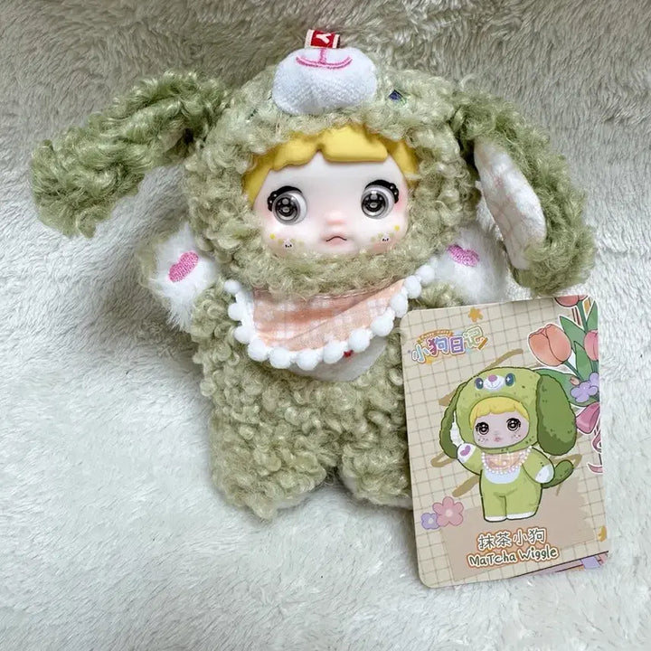 [SOLD OUT] 노미 강아지일기 베이비쓰리