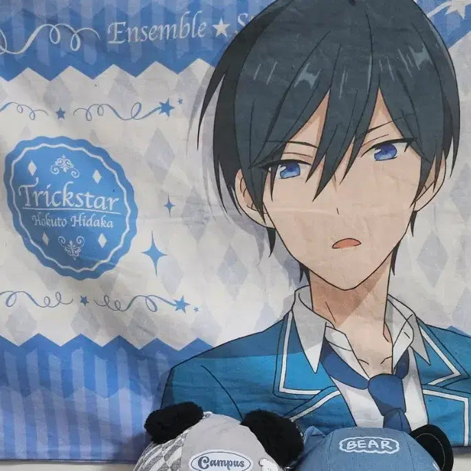 [BUNJANG] Hidaka Hokuto Pillow Cover / 호쿠토 베개커버