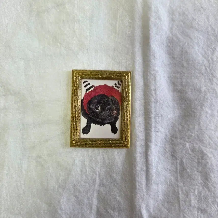 [BUNJANG] Arashi Satoshi Ohno FREESTYLE 2020 Pug Magnet / 아라시 오노 사토시 FREESTYLE 2020 퍼그 마그넷
