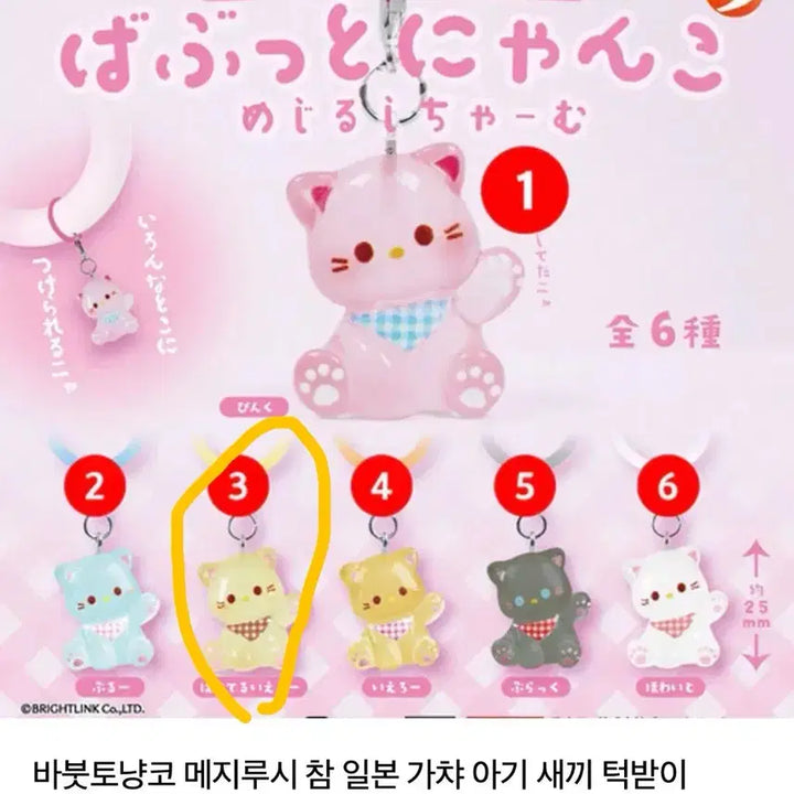 [BUNJANG] (미개봉)아기고양이 메지루시 / (미개봉)아기고양이 메지루시