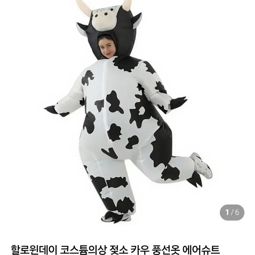 [BUNJANG] 젖소 에어수트 대여 / 젖소 에어수트 대여