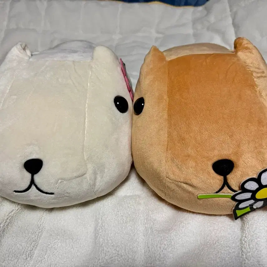 [BUNJANG] Capybara Plush Doll Set with Flowers / 카피바라상 꽃