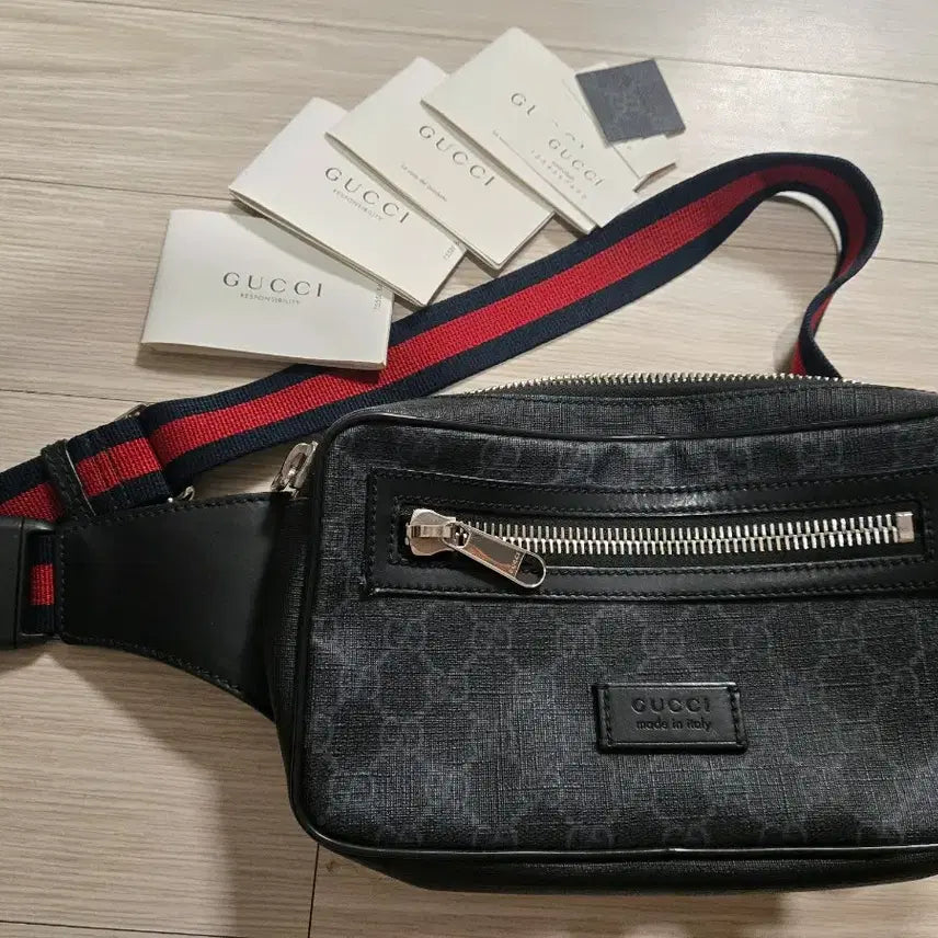 [BUNJANG] Gucci Belt Bag / 구찌 벨트백 범백