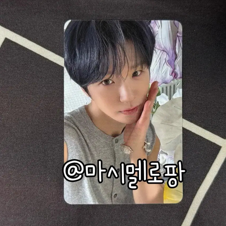 [BUNJANG] 엔시티위시 오드투러브 애플뮤직 특전 재희 포카 포토카드 nct wish / 엔시티위시 오드투러브 애플뮤직 특전 재희 포카 포토카드 nct wish