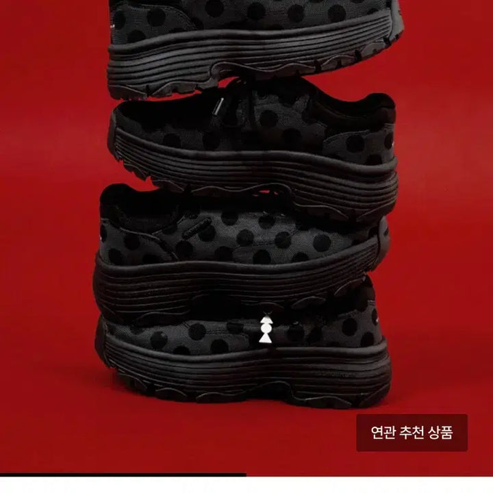 [BUNJANG] Flat Mountain Shaden Polka Dot Sneakers / 플랫마운틴 쉐이든폴카도트 스니커즈 운동화