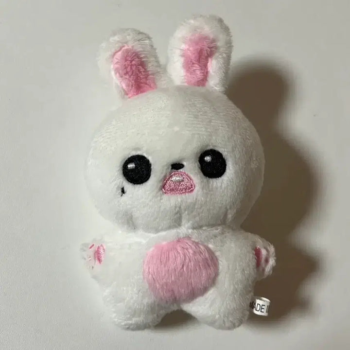 [BUNJANG] Bunny Ning Photocard / 버니녕 양도