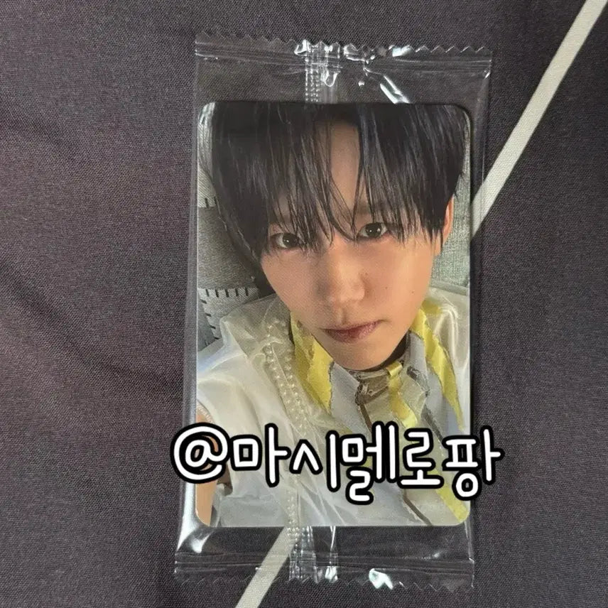 [SOLD OUT] 엔시티위시 오드투러브 케타포 특전 재희 포카 포토카드 nct wish