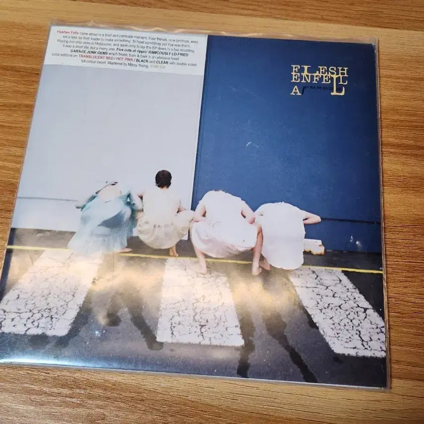 [BUNJANG] Fleshen Fella Vinyl Record / fleshen fella vinyl 바이닐