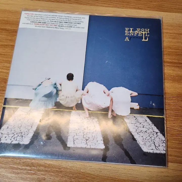 [BUNJANG] Fleshen Fella Vinyl Record / fleshen fella vinyl 바이닐
