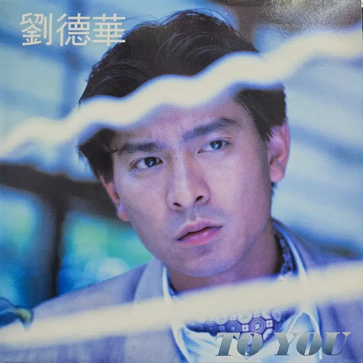 [BUNJANG] Andy Lau LP Record / 유덕화 LP